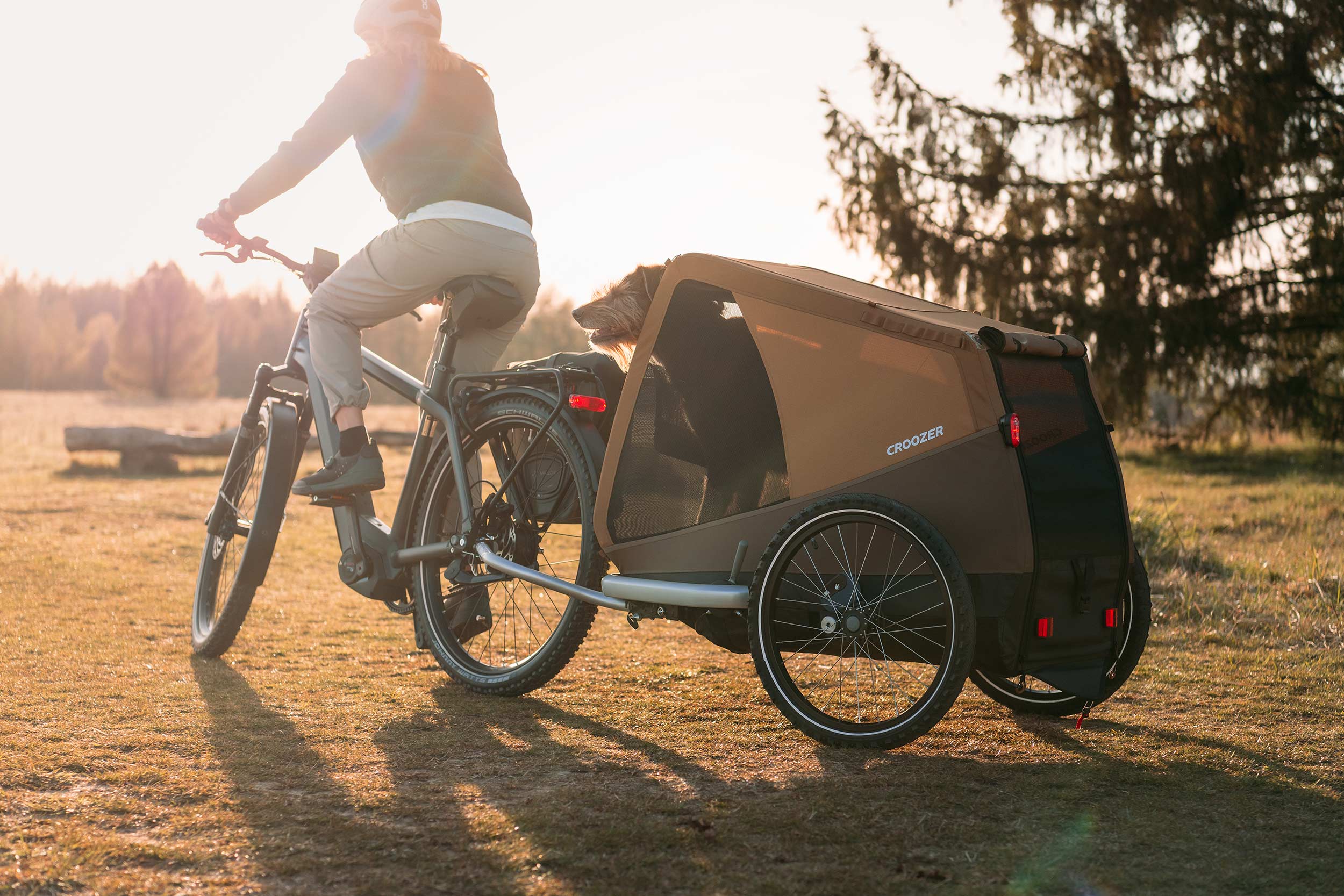 Countryside bike tour at sunset with dog in the Croozer Dog bike trailer